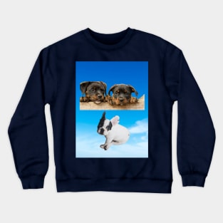 cute puppies Crewneck Sweatshirt